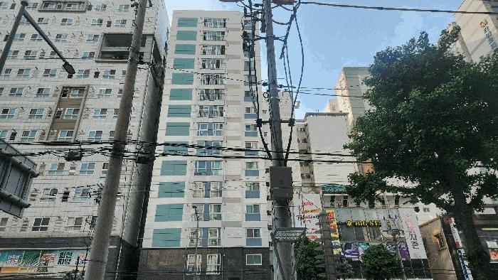사진 02
