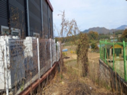 사진 01