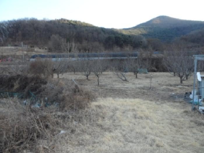 사진 08