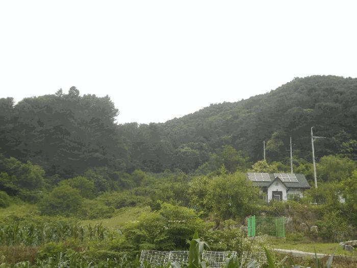 사진 05