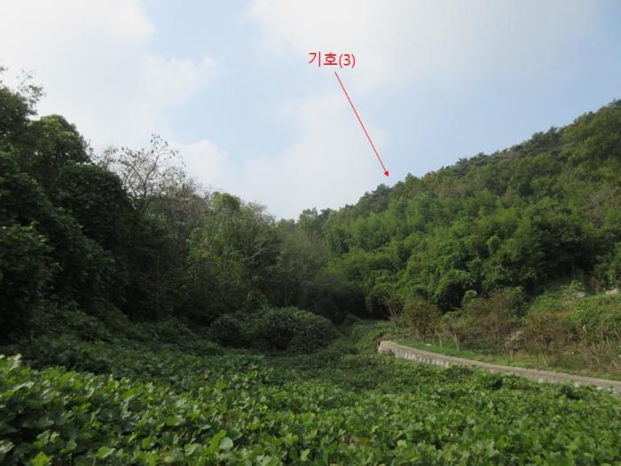 사진 03