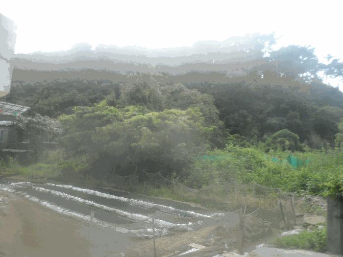 사진 01