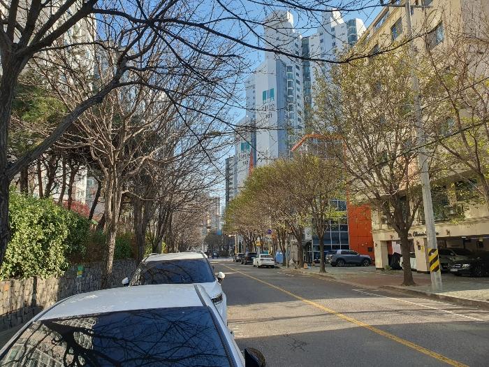 사진 03