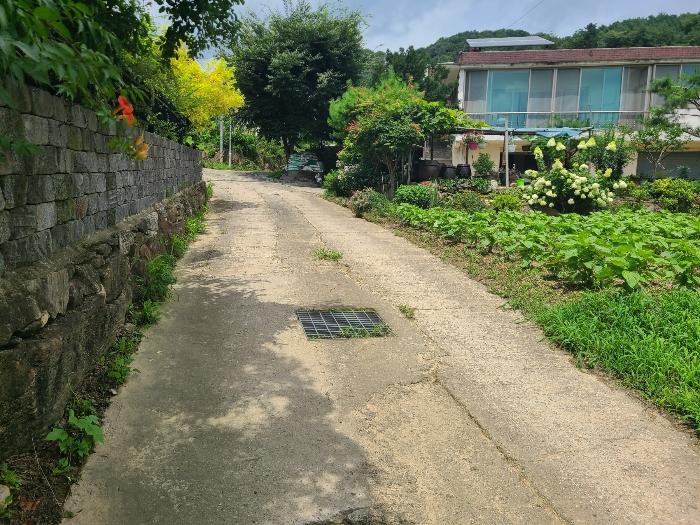 사진 07