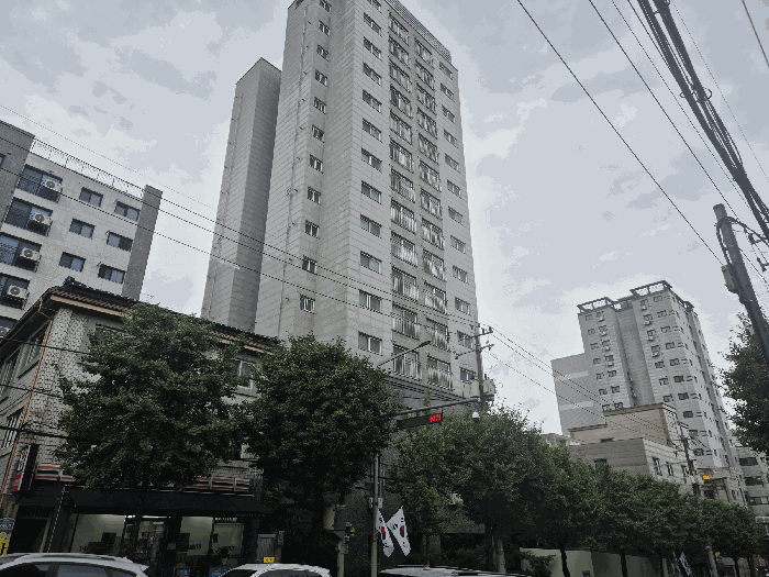 사진 08