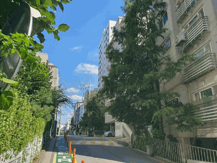 사진 02