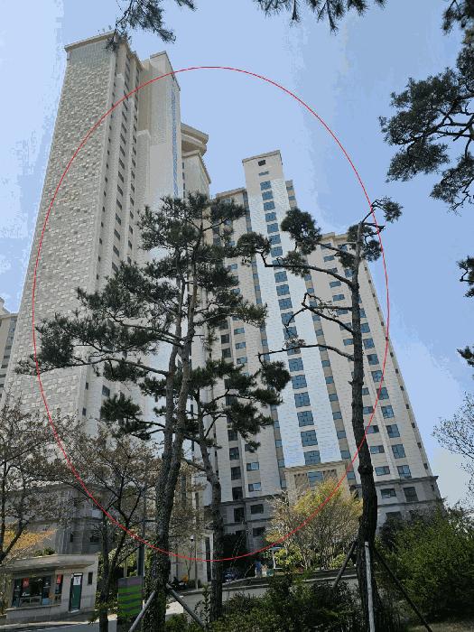 사진 02