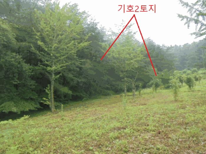 사진 02