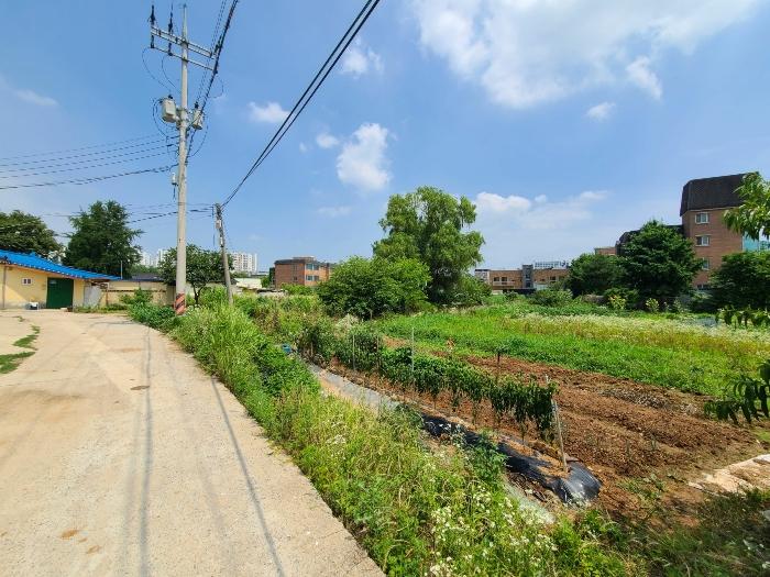 사진 02