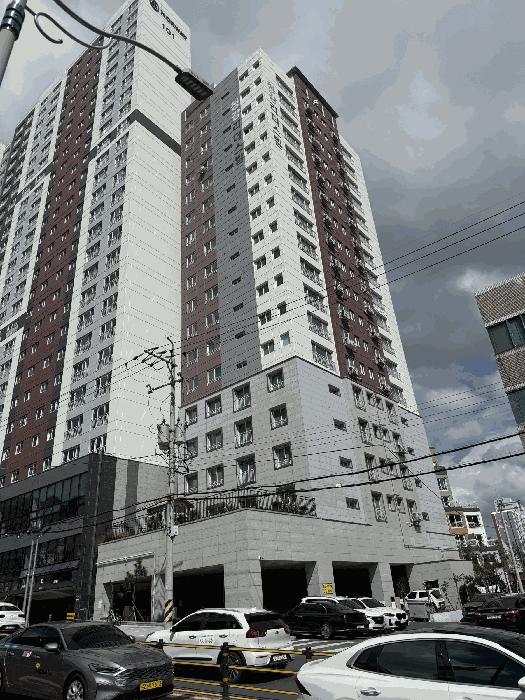 사진 01