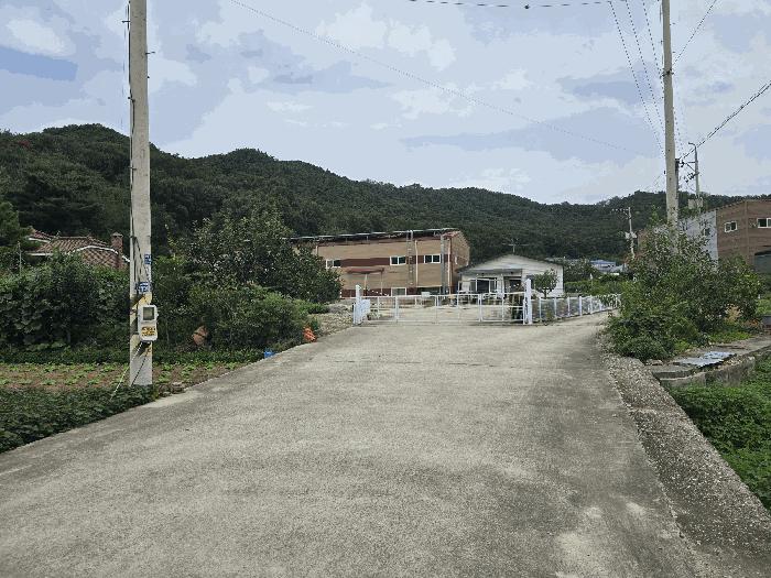 사진 03