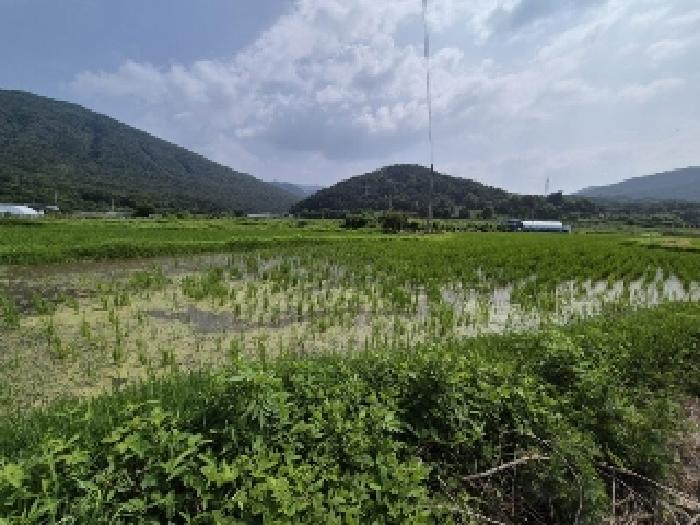 사진 04