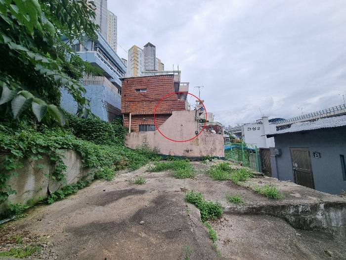 사진 02