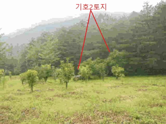 사진 01