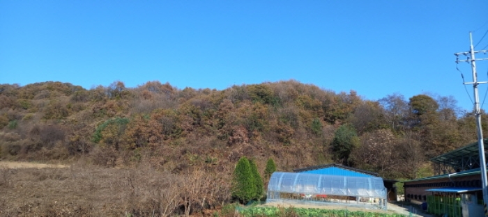사진 03