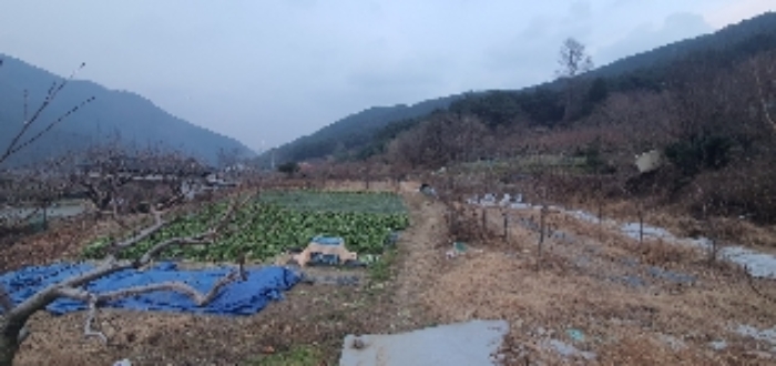 사진 02
