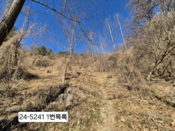 사진 02
