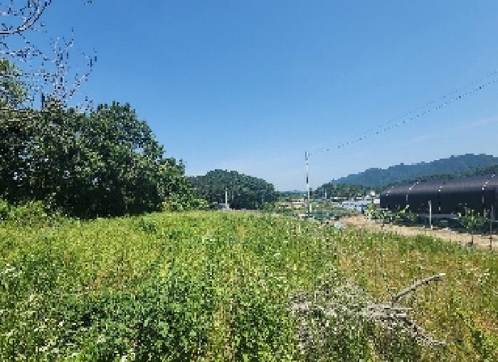 사진 03