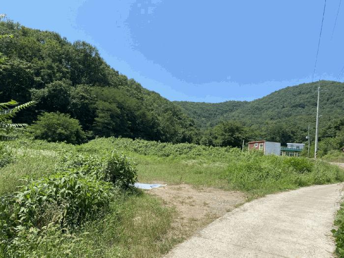 사진 06
