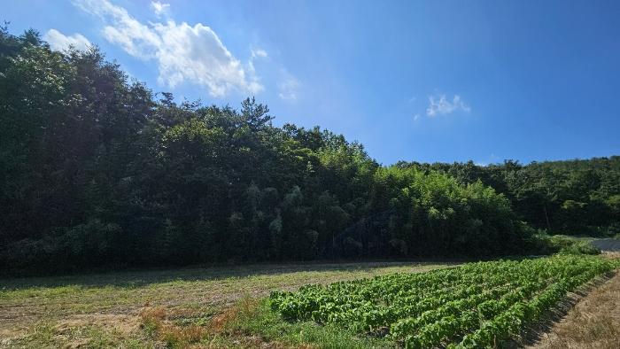 사진 02