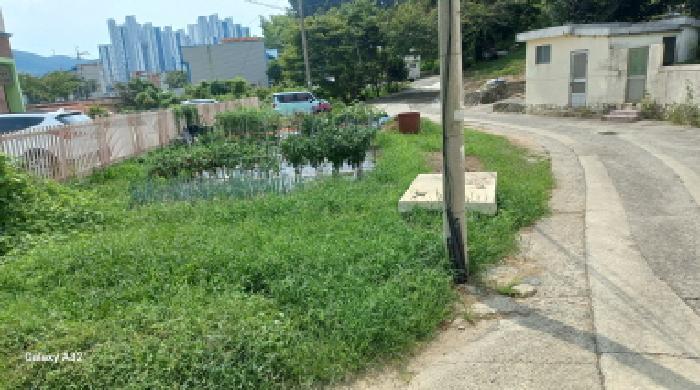 사진 08