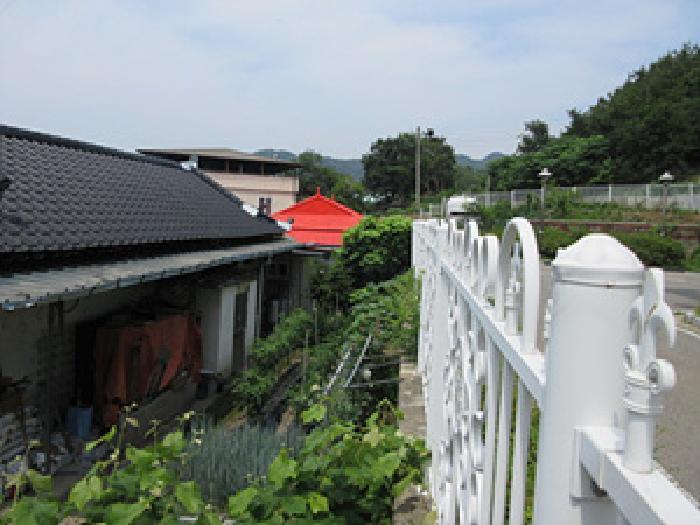 사진 08