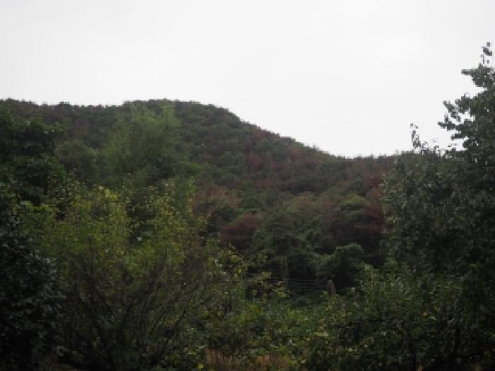 사진 03