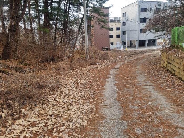 사진 03