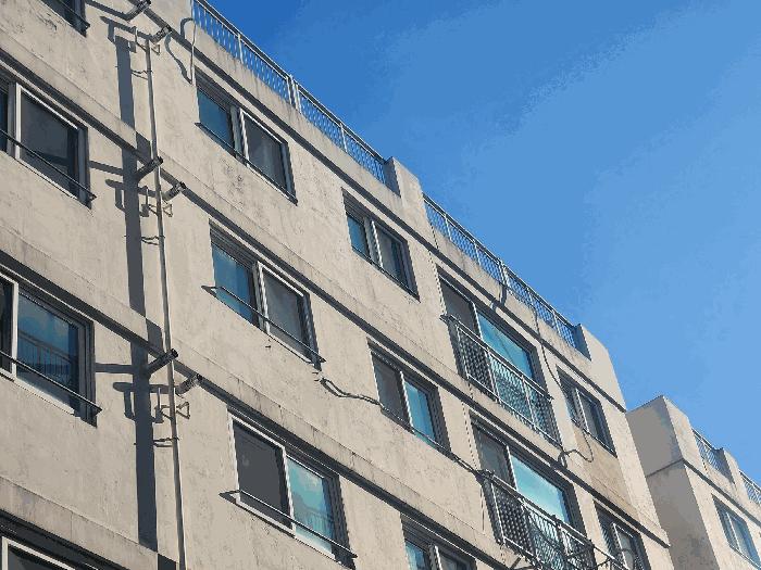 사진 02