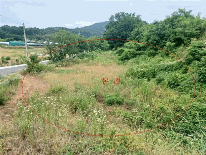 사진 07