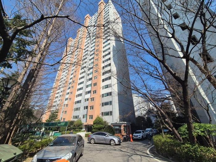 사진 01