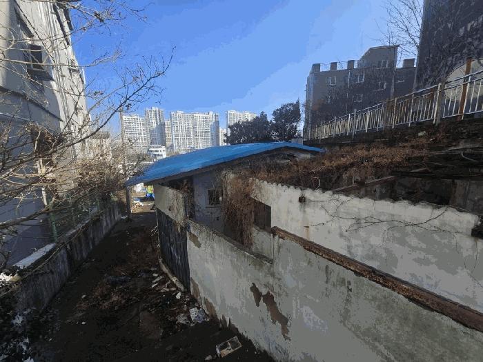 사진 06