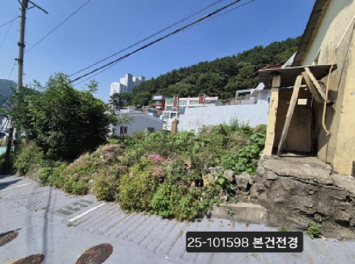 사진 03
