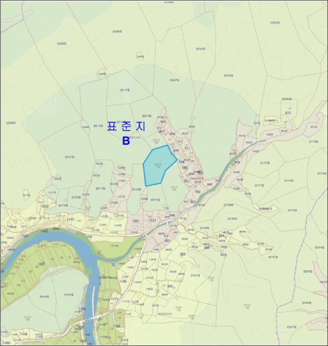 사진 05