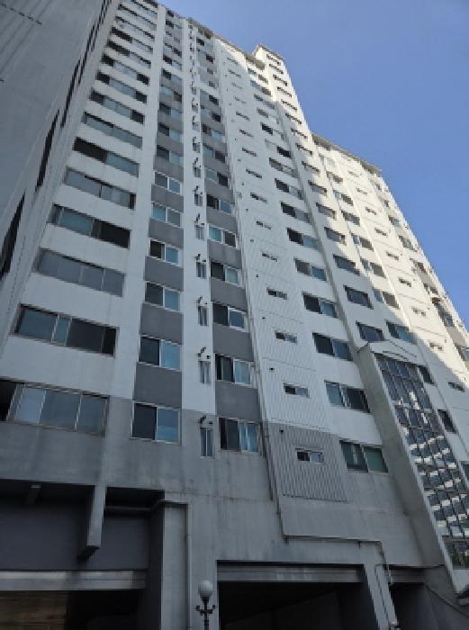 사진 05