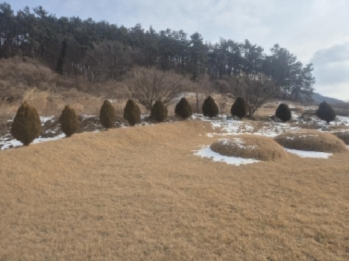 사진 08
