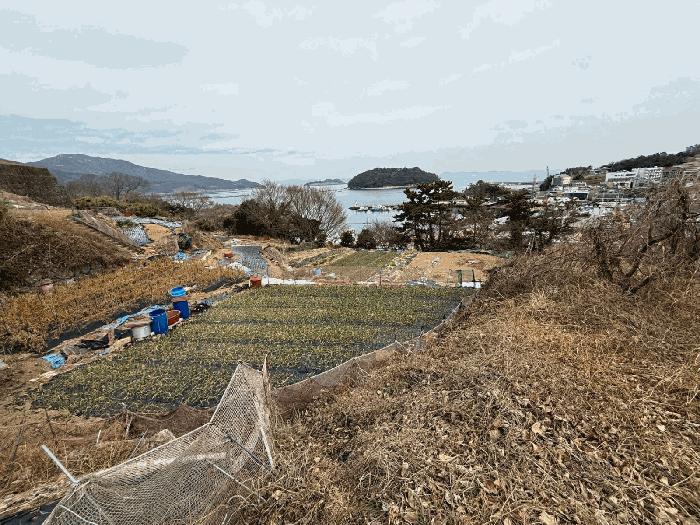 사진 06