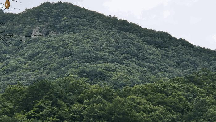 사진 06