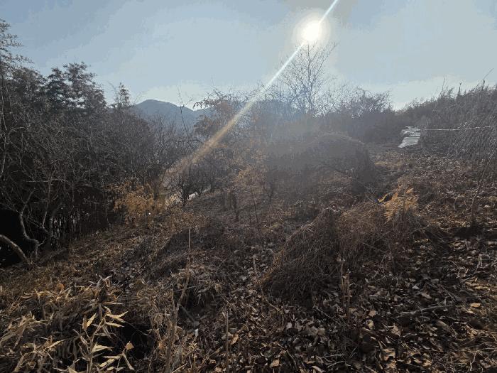 사진 04