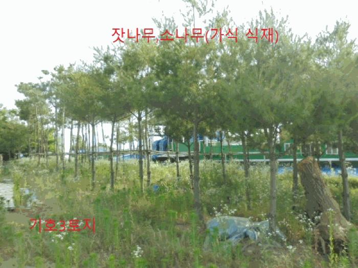 사진 06
