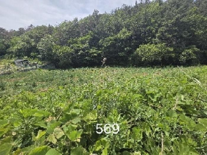 사진 05