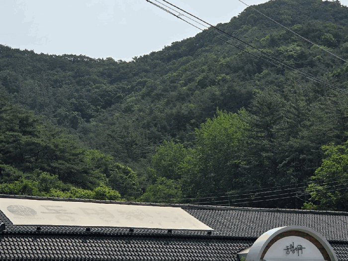 사진 05