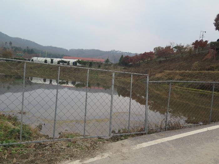 사진 03
