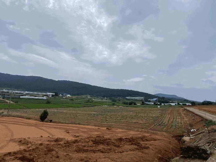 사진 08