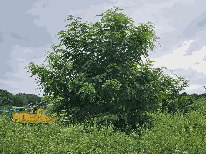사진 05