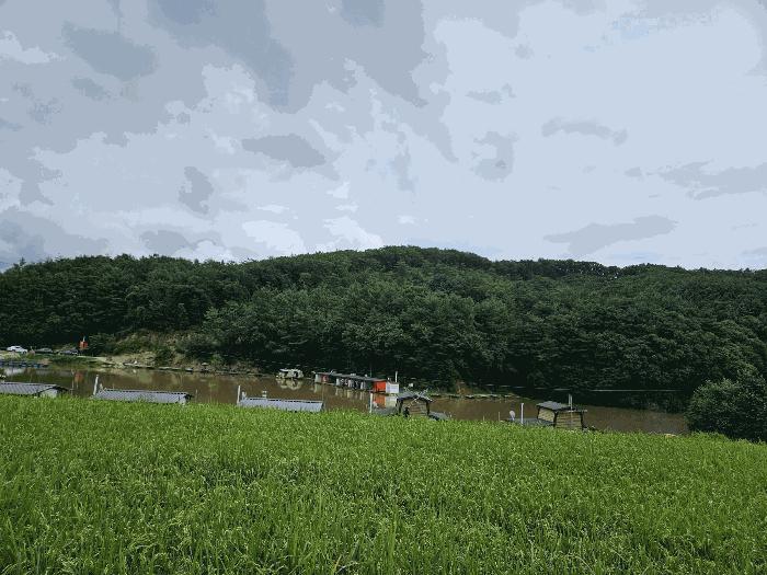 사진 06