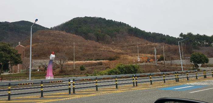 사진 01