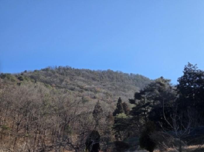 사진 05