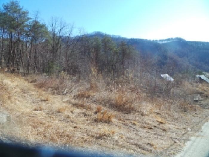 사진 07