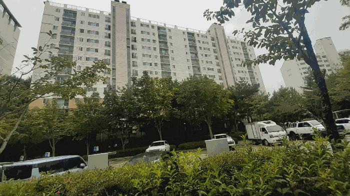 사진 08